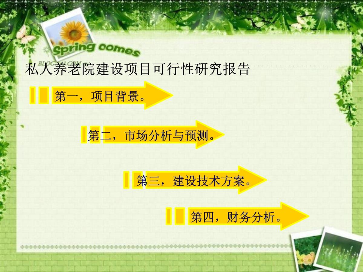 私人养老院建设项目可行性研究报告