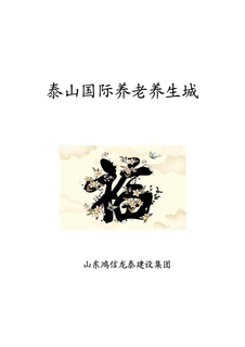 泰山国际养老养生城项目说明