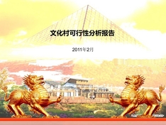 养老院项目—可行性分析