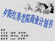 夕阳红养老院商业计划书